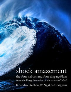 Shock Amazement (eBook, ePUB) - Chögyam, Ngakpa; Déchen, Khandro