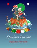 Spacious Passion (eBook, ePUB)
