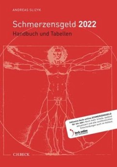 Schmerzensgeld 2022, m. 1 Buch, m. 1 Online-Zugang - Slizyk, Andreas