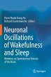 Neuronal Oscillations of Wakefulness... - Bild 1