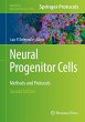 Neural Progenitor Cells - Bild 1