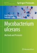 Mycobacterium ulcerans - Bild 1