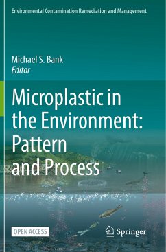 Microplastic in the Environment: Pattern and Process