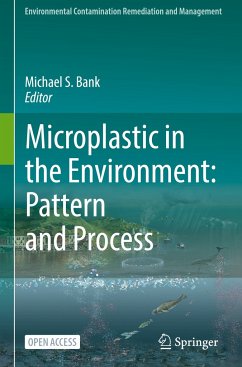 Microplastic in the Environment: Pattern and Process