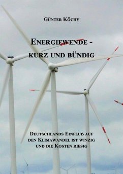 Energiewende - Kurz und Bündig (eBook, ePUB)