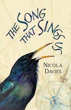 The Song That Sings Us (eBook, ePUB) - Davies, Nicola