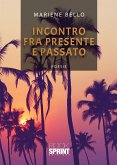 Incontro fra presente e passato (eBook, ePUB)