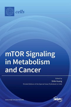 mTOR Signaling in Metabolism and Cancer