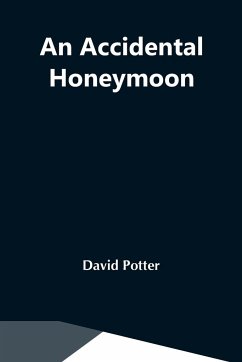 An Accidental Honeymoon - Potter, David