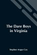 The Dare Boys In Virginia - Bild 1