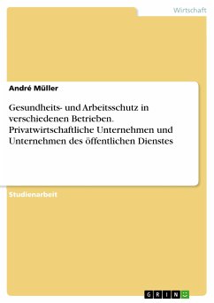 Gesundheits- und Arbeitsschutz in verschiedenen Betrieben. Privatwirtschaftliche Unternehmen und Unternehmen des öffentlichen Dienstes (eBook, PDF) - Müller, André