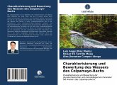 Charakterisierung und Bewertung des Wassers des Colpamayo-Bachs