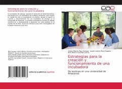 Estrategias para la creación y funcionamiento de una incubadora - Rios-Campos, Carlos Alberto;Mora Zapater, Janeth Leticia;Garófalo García, Ruth Noemí
