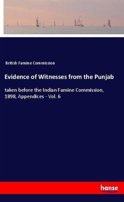 Evidence of Witnesses from the Punjab