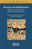 Diversity and Rabbinization (eBook, ePUB)