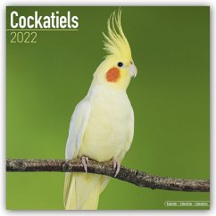 Cover Cockatiels - Nymphensittiche 2022 - 16-Monatskalender