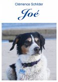 Joé (eBook, ePUB)