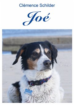 Joé (eBook, ePUB) - Schilder, Clémence