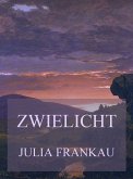 Zwielicht (eBook, ePUB)