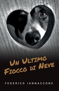 Un ultimo fiocco di neve - Iannaccone, Federico