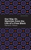 Our Nig; Or, Sketches from the Life of a Free Black (eBook, ePUB)