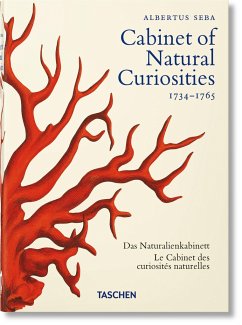Seba. Cabinet of Natural Curiosities. 40th Ed. - Müsch, Irmgard;Rust, Jes;Willmann, Rainer