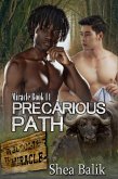 Precarious Path (Miracle, #14) (eBook, ePUB)