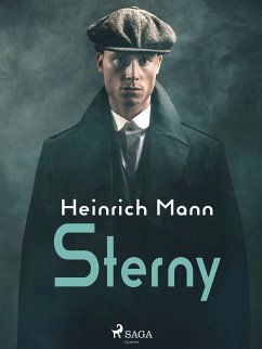 Sterny (eBook, ePUB) - Mann, Heinrich