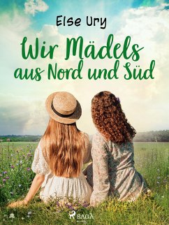 Wir Mädels aus Nord und Süd (eBook, ePUB) - Ury, Else