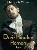 Drei-Minuten-Roman (eBook, ePUB)