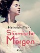 Stürmische Morgen (eBook, ePUB) - Bild 1