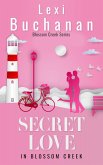 Secret Love in Blossom Creek (eBook, ePUB)