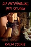 Die Entführung der Sklavin (eBook, ePUB)