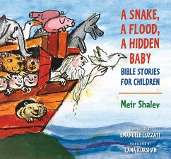 A Snake, a Flood, a Hidden Baby - Shalev, Meir