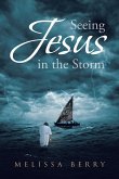 Seeing Jesus in the Storm (eBook, ePUB)