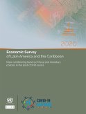 Economic Survey of Latin America and the Caribbean 2020 (eBook, ePUB)