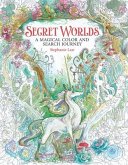 Secret Worlds: A Magical Color and Search Journey