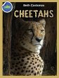Cheetah Activity Workbook ages 4-8 - Bild 1