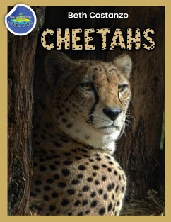 Cheetah Activity Workbook ages 4-8 - Costanzo, Beth
