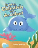 It Was Definitely an Accident (eBook, ePUB)