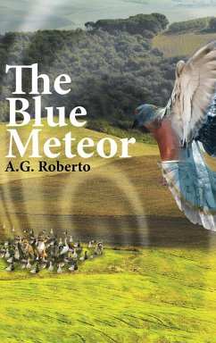 The Blue Meteor (eBook, ePUB) - Roberto, A. G.