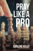 Pray Like A Pro (eBook, ePUB)