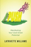 PUSH (eBook, ePUB)