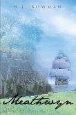 Meathwyn (eBook, ePUB)