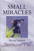Small Miracles (eBook, ePUB)
