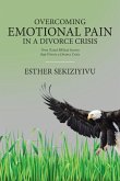 Overcoming Emotional Pain in a Divorce Crisis (eBook, ePUB)