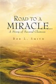 Road to a Miracle, a story of second chances (eBook, ePUB)