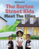 The Barton Street Kids (eBook, ePUB)