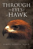 Through The Eyes Of A Hawk (eBook, ePUB)