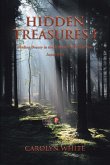 Hidden Treasures I (eBook, ePUB)
